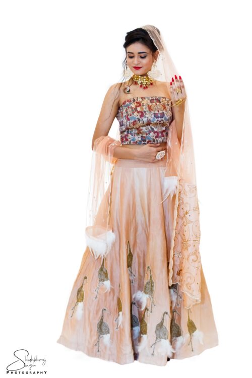 Floral Indo-western Lehenga